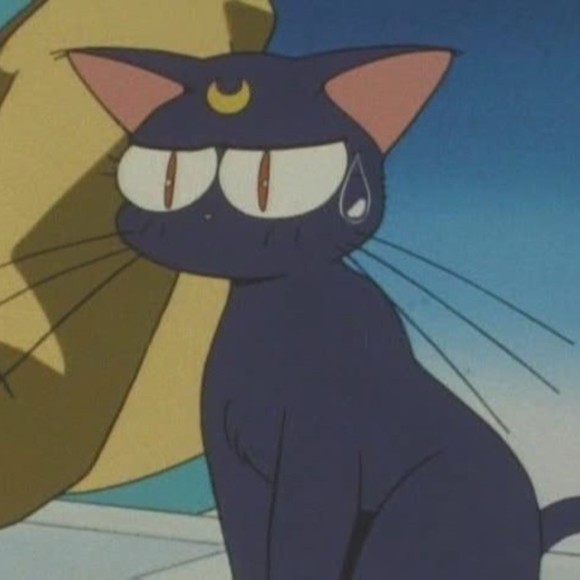 Meet your Posher, Posh - Picture 1 of 1